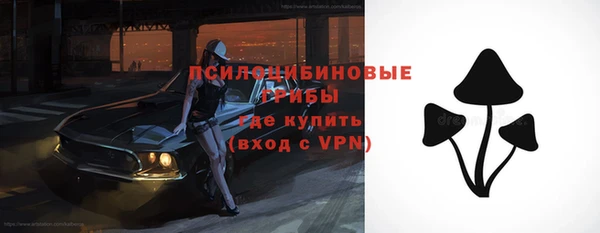 стаф Елабуга