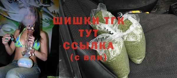стаф Елабуга