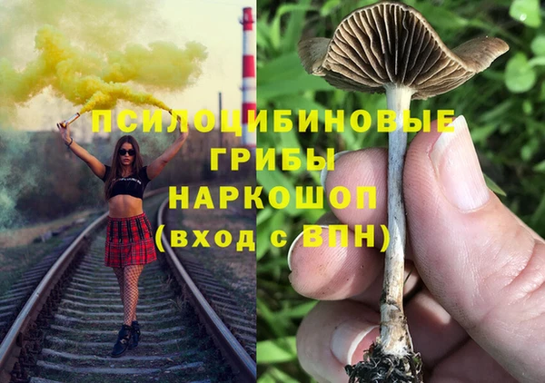 стаф Елабуга