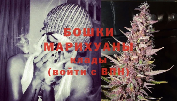 стаф Елабуга